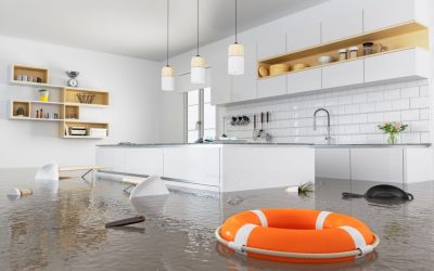 Emergency Plumbing 101: Steps You Can Take to Prevent Your Home From Flooding